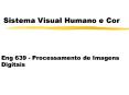 Sistema Visual Humano e Cor PowerPoint PPT Presentation