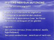 SYSTEME NERVEUX AUTONOME