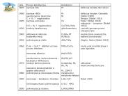 Prezentacja programu PowerPoint