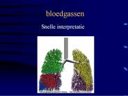 bloedgassen