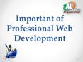Important of Professional Web Development PowerPoint PPT Presentation