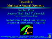 Towards a Multiscale Figural Geometry