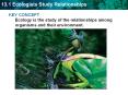 KEY CONCEPT Ecology is the study of the relationships among organisms and their environment. PowerPoint PPT Presentation