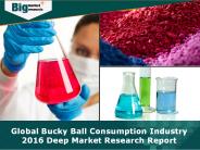 Global Bucky Ball Consumption Industry 2016
