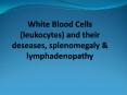 White Blood Cells (leukocytes) and their deseases, splenomegaly PowerPoint PPT Presentation