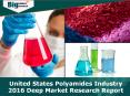 United States Polyamides Industry 2016 PowerPoint PPT Presentation