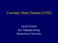 Coronary Heart Disease (CHD) PowerPoint PPT Presentation
