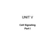 Cell Signaling