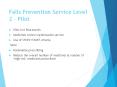 Falls Prevention Service Level 2 - Pilot PowerPoint PPT Presentation