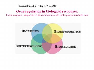 Torunn Bruland; post doc NTNU, DMF