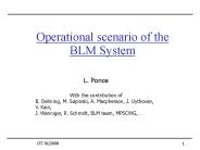 Operational scenario of the BLM System