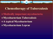 Chemotherapy of Tuberculosis