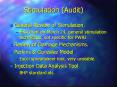Stimulation (Audit) PowerPoint PPT Presentation