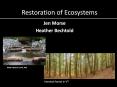 Restoration of Ecosystems PowerPoint PPT Presentation