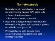Gametogenesis