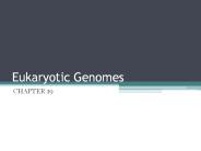 Eukaryotic Genomes