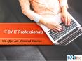 IT BY IT Professionals PowerPoint PPT Presentation