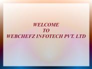 Web Services Provided By Webchefz Infotech