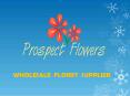 Prospect Flowers offering Farm Fresh Flowers at Wholesale Prices for any event