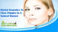 Herbal Remedies To Clear Pimples In A Natural Manner
