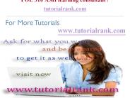 POL 310 Course Success Begins / tutorialrank.com