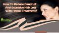 How To Reduce Dandruff And Excessive Hair Loss With Herbal Treatment?