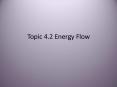 Topic 4.2 Energy Flow PowerPoint PPT Presentation