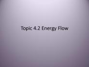 Topic 4.2 Energy Flow