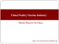 China Poultry Vaccine Industry PowerPoint PPT Presentation
