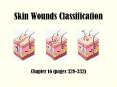 Skin Wounds Classification PowerPoint PPT Presentation