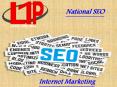 SEO services PowerPoint PPT Presentation
