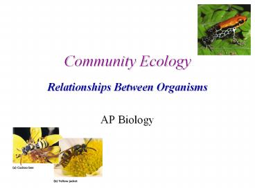 Community Ecology