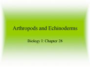 Arthropods and Echinoderms