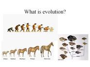 What is evolution?