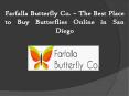 Farfalla Butterfly Co. – The Best Place to Buy Butterflies Online in San Diego