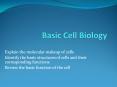 Basic Cell Biology PowerPoint PPT Presentation