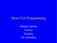 More CGI Programming