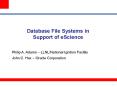 Database File Systems in Support of eScience PowerPoint PPT Presentation