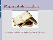 Why we study literature