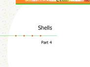 Shells