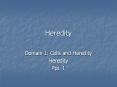 Heredity PowerPoint PPT Presentation