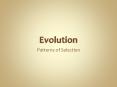 Evolution PowerPoint PPT Presentation