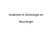 Anatomie et S