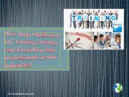 How does NetZealous LLC training strategy and Consulting