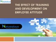 The Effect of Training and Development on Employee Attitude