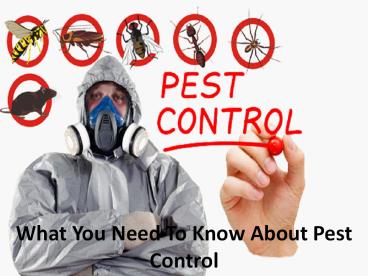 What You Need To Know About Pest Control