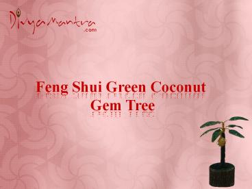 Feng Shui Green Coconut Gem Tree