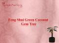 Feng Shui Green Coconut Gem Tree PowerPoint PPT Presentation
