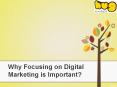 Why Focusing on Digital Marketing is Important? PowerPoint PPT Presentation