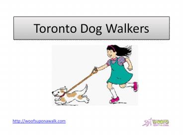 Toronto Dog Walkers